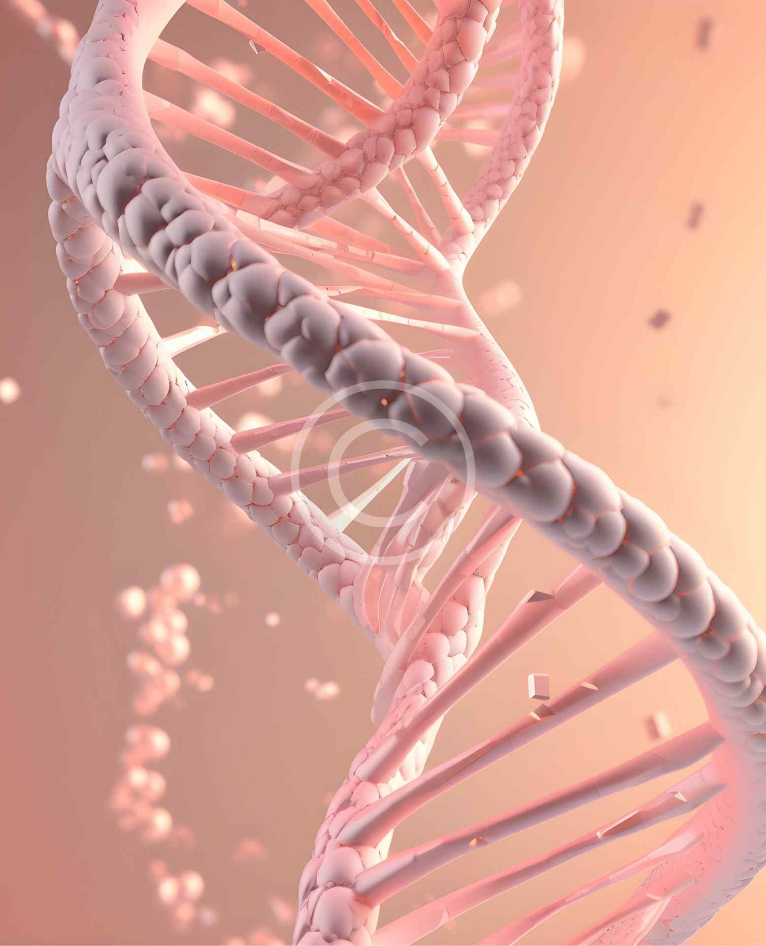 home4-image4-copyright